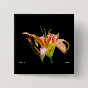 Badge Carré 5 Cm Lovely Tawny Daylily II Vêtements et cadeaux