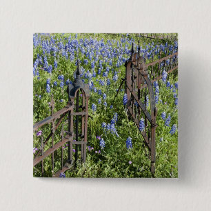 Badge Carré 5 Cm Lupins bleus et phlox entourant la grille du cimet
