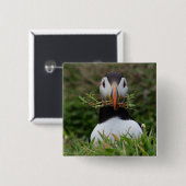 Badge Carré 5 Cm Macareux de constructeur de nid (Devant & derrière)