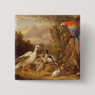 Badge Carré 5 Cm Macaw, Canards, perroquets et autres oiseaux sur u