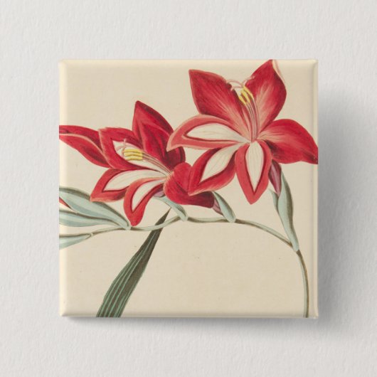 Badge Carré 5 Cm Maïs-Drapeau superbe (Devant)