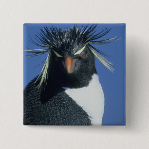 Badge Carré 5 Cm Manchot de Hoppe (Eudyptes chrysocome)