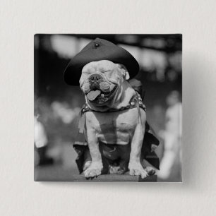 Badge Carré 5 Cm Marine Corps mascotte, les années 1920