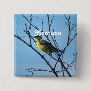 Badge Carré 5 Cm Meadowlark occidental
