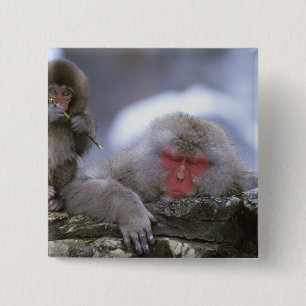 Badge Carré 5 Cm Mère et enfant singe des neiges, Jigokudani, Nagan