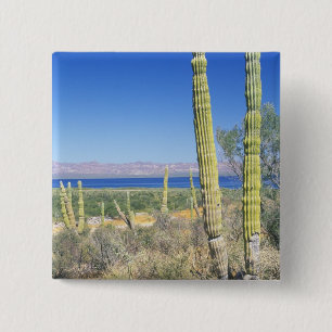 Badge Carré 5 Cm Mexique, Basse-Californie du Sud, Mulege, Bahia