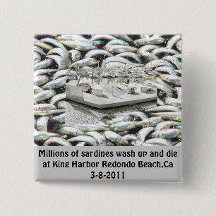 Badge Carré 5 Cm Millions de sardines 3-8-2011_