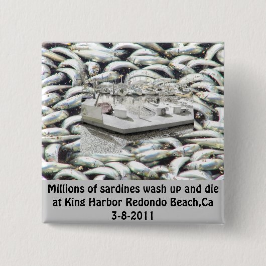 Badge Carré 5 Cm Millions de sardines 3-8-2011_ (Devant)