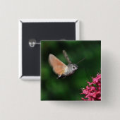 Badge Carré 5 Cm Mite de colibri planant (Devant & derrière)