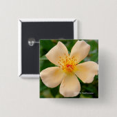 Badge Carré 5 Cm Mme Oakley Fisher Rose (Devant & derrière)