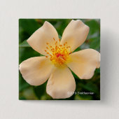 Badge Carré 5 Cm Mme Oakley Fisher Rose (Devant)