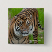 Badge Carré 5 Cm modèle (Devant)