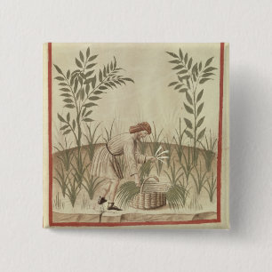 Badge Carré 5 Cm Moissonnant des poireaux, de 'Tacuinum Sanitatis