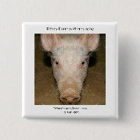 Morceau de promo de porc