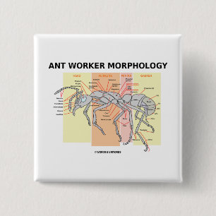 Badge Carré 5 Cm Morphologie de travailleur de fourmi