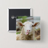Badge Carré 5 Cm Mouton montrer langue (Devant & derrière)