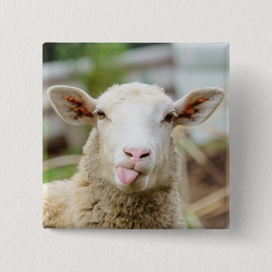 Badge Carré 5 Cm Mouton montrer langue (Devant)