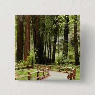 Badge Carré 5 Cm Muir Woods Chemin I Nature Photographie