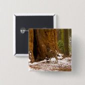 Badge Carré 5 Cm Mule Deer (Devant & derrière)