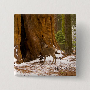 Badge Carré 5 Cm Mule Deer