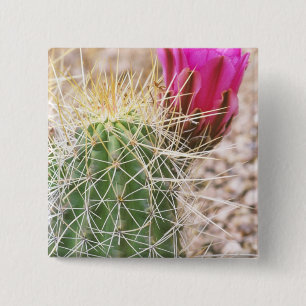 Badge Carré 5 Cm N.A., États-Unis, AZ, Phoenix, Jardin botanique du