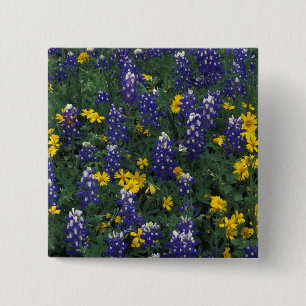 Badge Carré 5 Cm N.A, États-Unis, Texas, Marble Falls, Bleus Bonnet