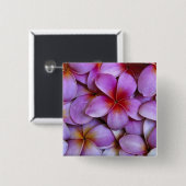 Badge Carré 5 Cm N.A., USA, Maui, Hawaï. La Plumeria rose fleurit. (Devant & derrière)