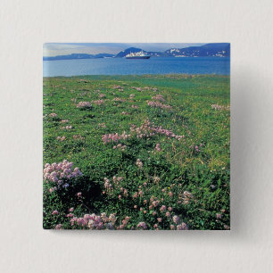 Badge Carré 5 Cm NA, États-Unis, Alaska, Île Aléoutienne, Paysage a