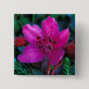 Badge Carré 5 Cm NA, États-Unis, Alaska, Îles Aléoutiennes, Fleurs