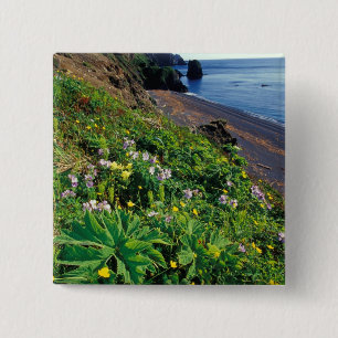 Badge Carré 5 Cm NA, États-Unis, Alaska, îles Semidi, Fleurs sauvag