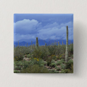 Badge Carré 5 Cm NA, États-Unis, Arizona, Saguaro National Monument