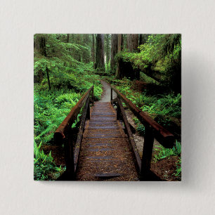 Badge Carré 5 Cm NA, États-Unis, Californie, Jedidiah Smith Redwood