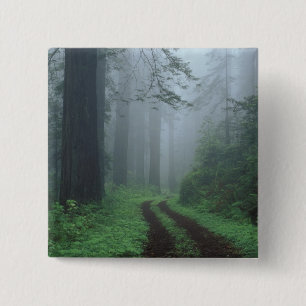 Badge Carré 5 Cm NA, USA, Californie. Parc d'état de la côte del 