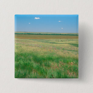 Badge Carré 5 Cm NE, États-Unis, NE. Prairies près d'Ogallala avec