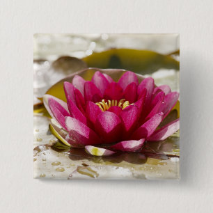 Badge Carré 5 Cm Nénuphar