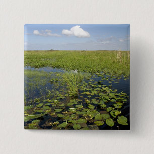 Badge Carré 5 Cm Nénuphars et sawgrass dans les everglades de Flori