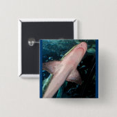 Badge Carré 5 Cm NJ Shark CB (Devant & derrière)