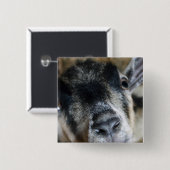 Badge Carré 5 Cm Nosy Goat En Regard (Devant & derrière)