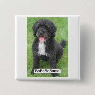 Badge Carré 5 Cm Obama Pet Portugais Water dog