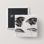 Badge Carré 5 Cm Observations de l'oiseau de Darwin (Devant & derrière)