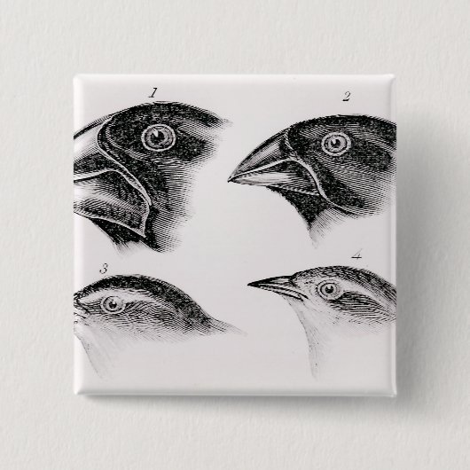 Badge Carré 5 Cm Observations de l'oiseau de Darwin (Devant)