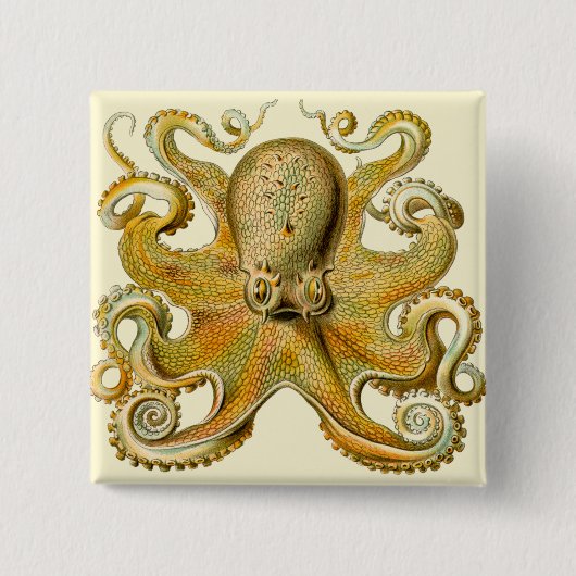 Badge Carré 5 Cm Octopus illustration antique monstre marin (Devant)