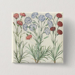 Badge Carré 5 Cm Oeillets : albo multiplex du flore 1.Caryophyllus