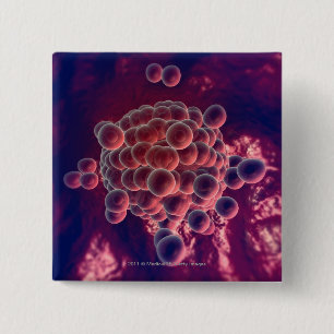 Badge Carré 5 Cm Oeufs dans un ovule