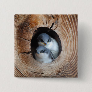 Badge Carré 5 Cm Oiseaux de bébé