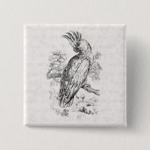 Badge Carré 5 Cm Oiseaux vintages de Cockatiel d'oiseau de