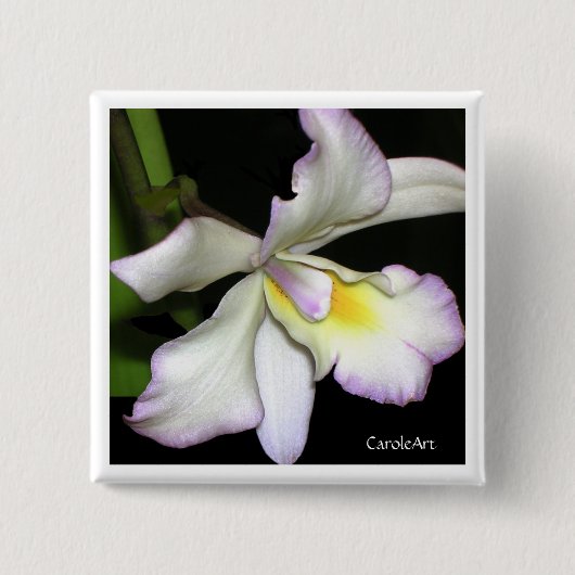 Badge Carré 5 Cm Orchidée blanche classique (Devant)