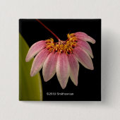 Badge Carré 5 Cm Orchidée rose tropicale (Devant)