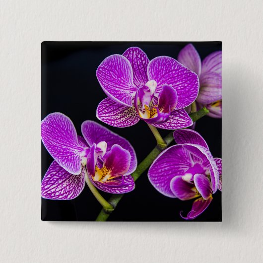 Badge Carré 5 Cm Orchidée violette (Devant)
