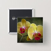 Badge Carré 5 Cm Orchidées de mite jaunes - Phalaenopsis (Devant & derrière)